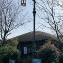 064-2 | 제주 서귀포 칼국수 탕수육 찐맛집 064바당