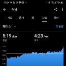 11/21 간만에 심박수 좀 ↑ 이미지