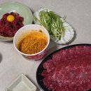 보라매웰종합동물병원 | 2026년 5월 13일 수요일