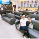 행복한 멍이세상 이미지