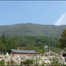 들국화민박 이미지