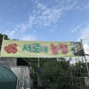 박서농장 이미지