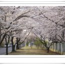 연수원길 이미지