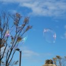 펀키즈유치원 이미지