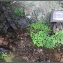 하늘다리 이미지