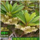 동양 주식회사(1종) - 1902 | 동양 주식회사(1종)