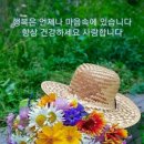 🍒 3월 22일 수요일 간추린 아침뉴스입니다 이미지