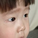 사천서울아동병원 | 15개월아기 리노/파라바이러스 증상 (사천서울아동병원 입원후기)