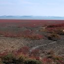 해양보호구역(상동마을) 이미지