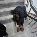 광연목장 | 2025_上