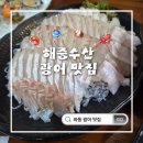 해중수산 | 해중수산 와동 고잔동 횟집 광어회 내돈내산 후기