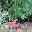 원스농장 이미지