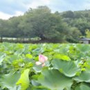 조비마을회관 이미지