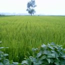 (주)들녘 이미지