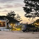 브레드쏭 이미지