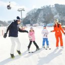 비발디파크 스키월드 이미지