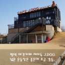 제이독애견카페 | 평택 제이독 애견카페 솔직후기