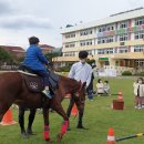 한천초교 병설유치원 이미지