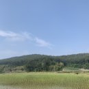 안면도위드유 이미지