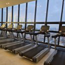 골든타임핏 이미지