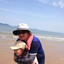 바다로일이오