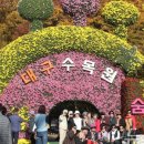더마이스주식회사