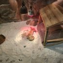 작은 동물원 이미지