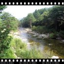 백봉령 농장 이미지