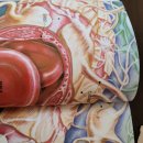 8.10 허리통증(근육) 이미지