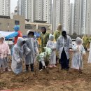 배곧1동 행정복지센터 이미지