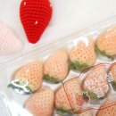 세라농장