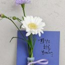 원천동 68-1~원천동 48-1 | 꽃배달 이담 수원 영통구 원천동 가격 후기