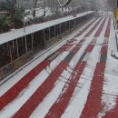 서울정수초등학교 이미지