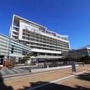 아르피나 이미지