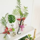 동녘농장 이미지