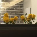 비지니스스터디센터이룸 | 제주연동스터디카페 비지니스스터디센터 이룸 다녀온 후기