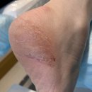 레푸스 성남모란점 이미지