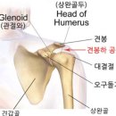 리버티필라테스