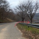 성수면 야구장 이미지