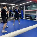 유타복싱클럽 이미지