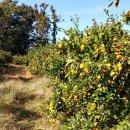 준이농장1 이미지