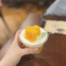 댄스스포츠 | 대전 | 노잼도시 대전, 뚜벅이 당일치기 여행(유잼도시였던 건에 대하여...)