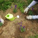 경기도 양평군 정배초등학교 이미지