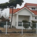 애견파라독스펜션