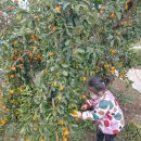 석동농장 이미지