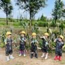 별하농장 이미지