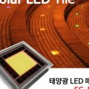 썬플라워 에너지 이미지