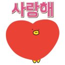 금당 우리집 오리 이미지