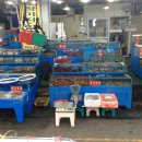 강원수산 이미지