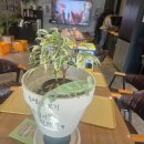 경기도 양평군 양평유치원 | 양평 실내동물원 굼프로곤충체험학습농장 아이와 함께 다녀온 체험 후기